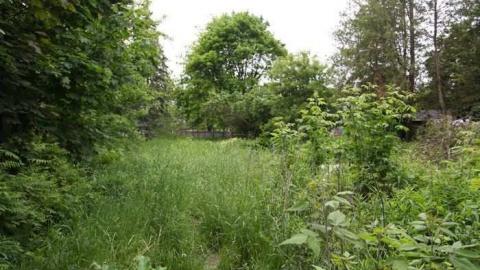 Whitby Special - IMG_2450.jpg