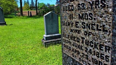  West Greys Past - Ebenezer-Pioneer-Cemetery-18597.jpg