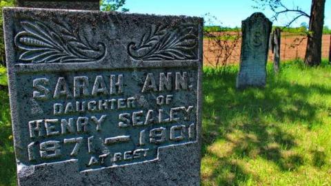  West Greys Past - Ebenezer-Pioneer-Cemetery-18598.jpg