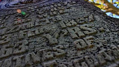  West Greys Past - Ebenezer-Pioneer-Cemetery-185913.jpg