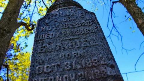  West Greys Past - Ebenezer-Pioneer-Cemetery-185915.jpg