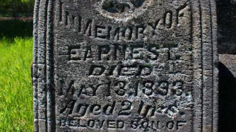  West Greys Past - Ebenezer-Pioneer-Cemetery-185914.jpg