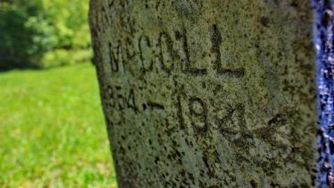  West Greys Past - Ebenezer-Pioneer-Cemetery-18594.jpg