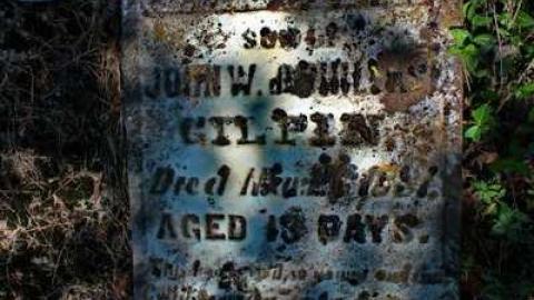  West Greys Past - Ebenezer-Pioneer-Cemetery-18596.jpg