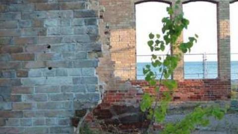 robs pics - Brick-Skeleton23.jpg