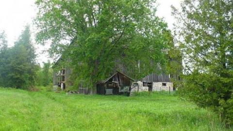 June - Old-Farm128.jpg