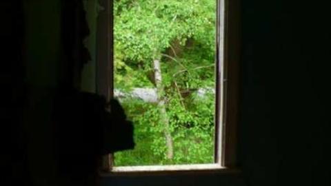 June - Old-Farm113.jpg