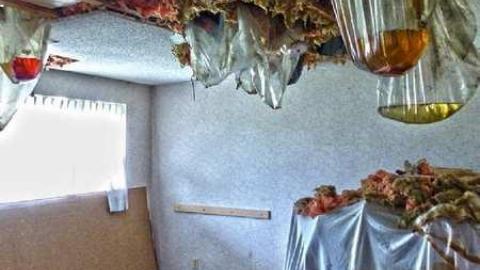 Secret Ops - Prudhommes-Landing-Inn208.jpg