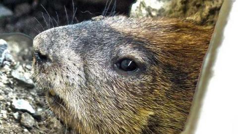 Secret Ops - Prudhommes-Landing-Inn201.jpg