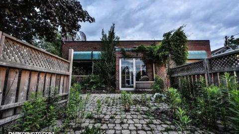 Photo from Hungry like a Horse