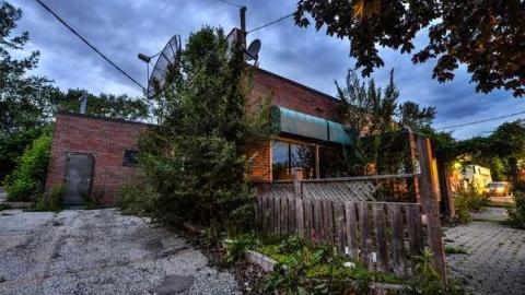 Photo from Hungry like a Horse