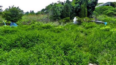 Waterless water park - Wet-And-Wild-Waterpark215.jpg