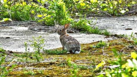 Waterless water park - Wet-And-Wild-Waterpark210.jpg