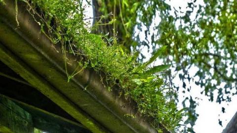 Paintball battlefield - 4.jpg