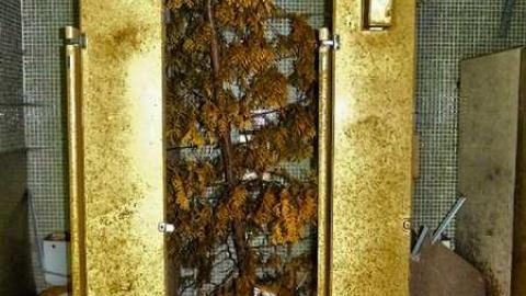 Paintball battlefield - 12.jpg