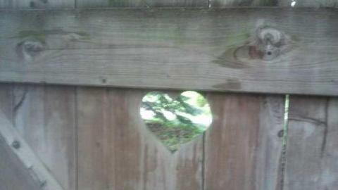 thursday eve - 2013-06-07 18.08.23.jpg