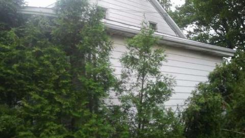 The One on the Hill photo 4