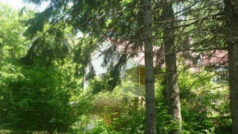 Photo from 146 PondMillls Road 