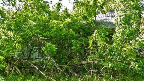 Viewers Discretion Advised - 8.jpg