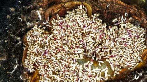 Viewers Discretion Advised - 22.jpg