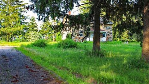 Empty Nest - Shantz-Stone-Survivor1.jpg