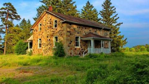 Empty Nest - Shantz-Stone-Survivor3.jpg