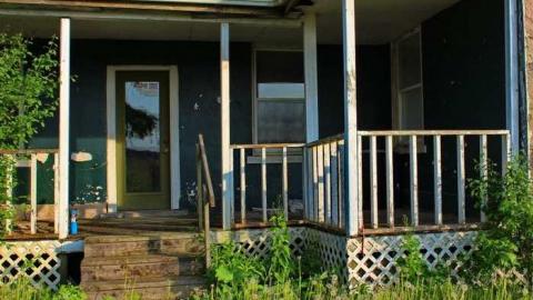 Shantz Stone Survivor photo 3