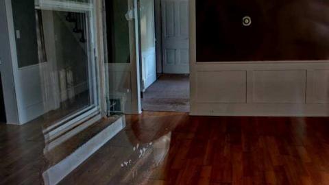 Empty Nest - Shantz-Stone-Survivor6.jpg