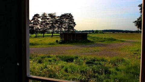 Empty Nest - Shantz-Stone-Survivor7.jpg