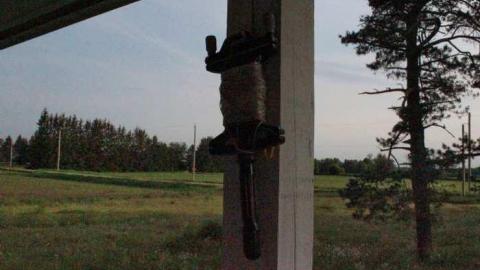 Empty Nest - Shantz-Stone-Survivor10.jpg