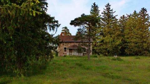 Empty Nest - Shantz-Stone-Survivor14.jpg