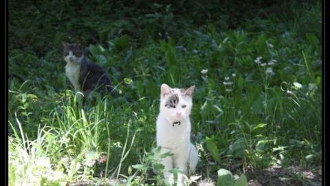 Photo from Ballycroy