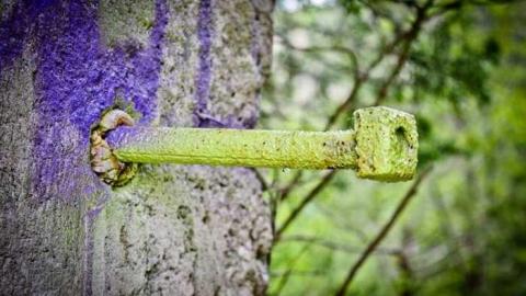 The Ruins - The-Portland-Cement-Ruins28.jpg