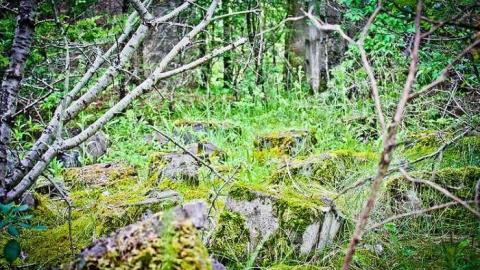 The Portland Cement Ruins photo 4