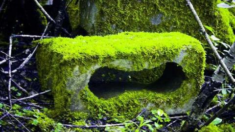 The Ruins - The-Portland-Cement-Ruins40.jpg