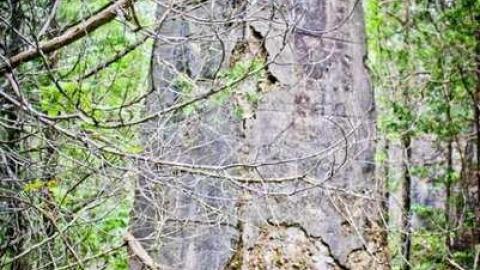 The Ruins - The-Portland-Cement-Ruins32.jpg