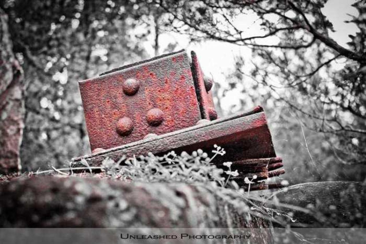 The Ruins - The-Portland-Cement-Ruins46.jpg