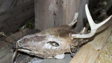 Photo from Back again