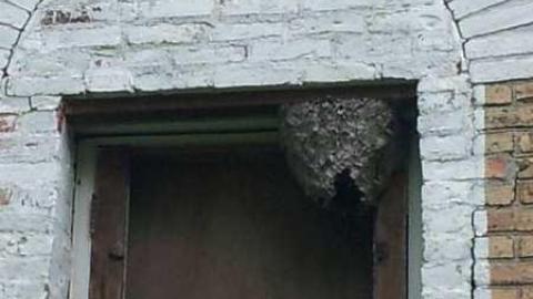 Napier June 2013 - Napier-(ghost-town)14.jpg