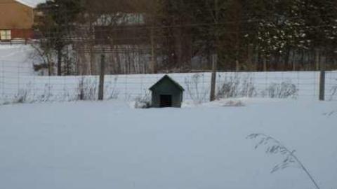 Photo from Clean and Tidy