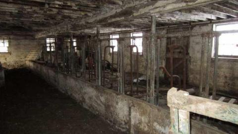 Clean and Tidy - Sideroad-Sanity44.jpg