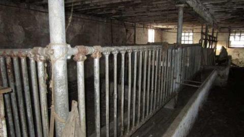 Clean and Tidy - Sideroad-Sanity54.jpg