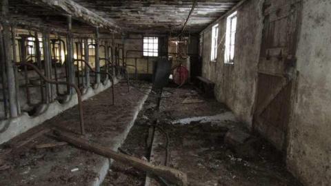 Clean and Tidy - Sideroad-Sanity56.jpg