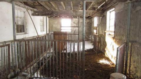 Clean and Tidy - Sideroad-Sanity46.jpg