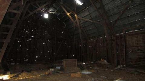 Clean and Tidy - Sideroad-Sanity47.jpg