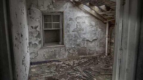 Back again - IMG_0124modsmall.jpg