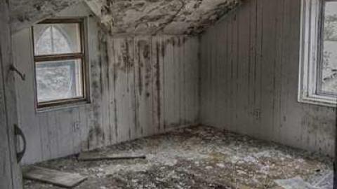 Photo from Back again