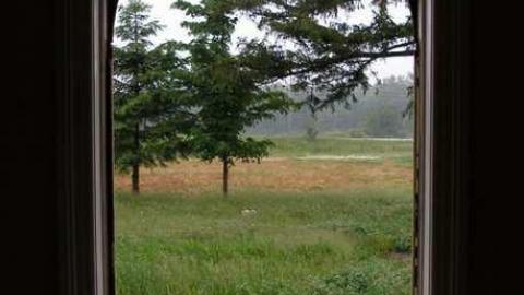 Some Stuff Stripped - Bradley-Ave.59.jpg