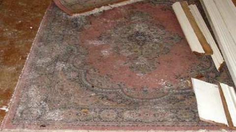 Some Stuff Stripped - Bradley-Ave.61.jpg