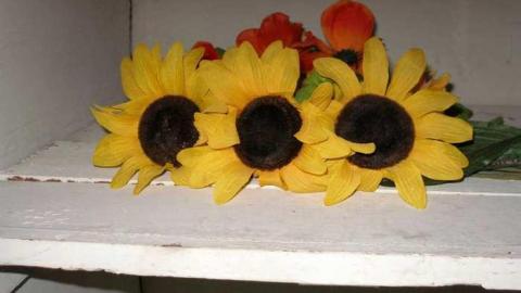 Some Stuff Stripped - Bradley-Ave.70.jpg